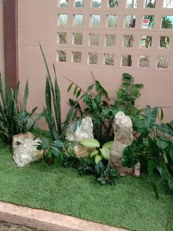 ไม้ประดับ