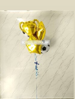 ลูกโป่ง วันเกิดเด็ก ช่อฟอยล์ถ้วยรางวัล ช่อ 5 ชิ้น 1 ช่อ ฟอยล์ถ้วยรางวัล 1 ชิ้น,ฟอยล์ดาว ขนาด 24" 2 ชิ้น,ฟอยล์ฟุตบอล 2 ชิ้น พร้อมตกแต่ง สามารถเปลี่ยนสี-ฟอยล์ตกแต่งได้