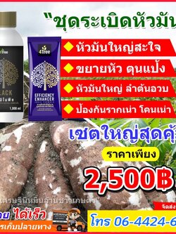 ชุดระเบิดหัวมัน ขนาดทดลอง 2500 บาท