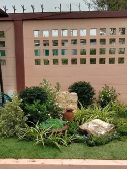 ไม้ประดับ