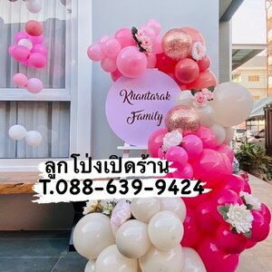 Organic รูปแบบใหม่ ไม่ซ้ำใคร แบบเปิดร้าน พร้อมตกแต่ง ป้ายกลม สามารถเปลี่ยนสีลูกโป่งได้