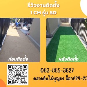 Before~After