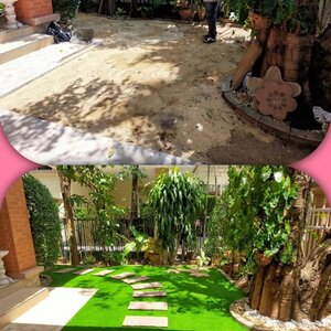 Before-After
