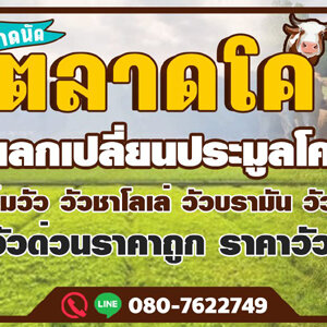 ขนส่งสัตว์เลี้ยง โทร 088-9952629 วัว ควาย รถรับจ้างขนสัตว์ ขนแพะ ขนแกะ ขนโค ขนกระบือ ขนส่งสัตว์ ทุกชนิด ทั่วประเทศ