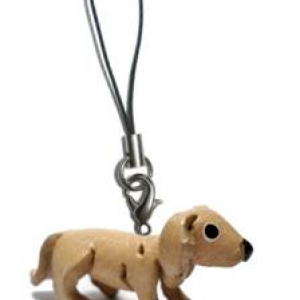 -----> Goldenretriver