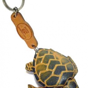 -----> Turtle 04