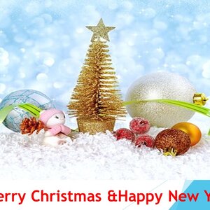 MERRY CHRISTMAS AND HAPPY NEW YEAR