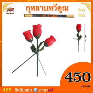 อุปกรณ์มายากล กุหลาบทวีคูณ (1 to 2- 3 Rose)