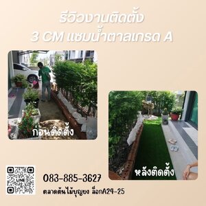 Before~After