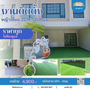 Before~After