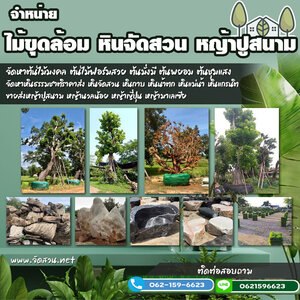 ปั้นหินเทียม โทร 062-1596623 รับจัดสวน น้ำตกหินเทียม จัดสวนหน้าบ้าน ทำน้ำตก ปูหญ้า จัดสวนหย่อม