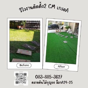 Before~After
