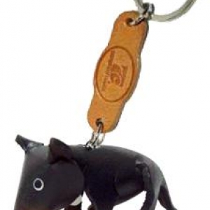 -----> Tasmanian_devil