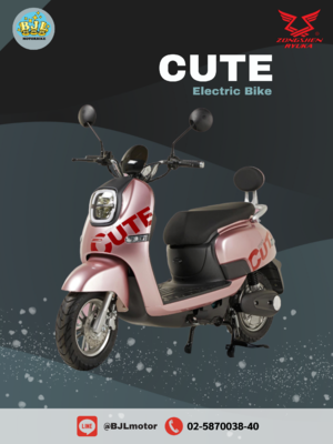 ZONGSHEN RYUKA CUTE ( Electric Bike )