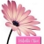 ร้านIsabella Chloe Fashion