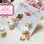 Nuance Korea ต่างหู ตุ้มหูเกาหลีหอยทากน้อยน่ารักแต่งใบไม้หินสีส้ม - ทอง
