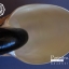 ขายเปลือกหอยงวงช้าง นอติลุส Nautilus pompilus ขนาด 6 นิ้ว NP001
