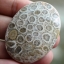 ฟอสซิลหินปะการังขัด Fossil Coral ใหญ่และหนา สำหรับห้อยคอ หรือ พวงกุญแจ คัดสวยพิเศษ #CRF023