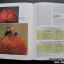 หนังสือไอเดียถ่ายภาพของ Kodak : Adventures in Color-Slide Photography