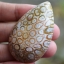 ฟอสซิลหินปะการังขัด Fossil Coral ใหญ่และหนา สำหรับห้อยคอ หรือ พวงกุญแจ คัดสวยพิเศษ #CRF024
