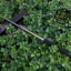 กระบองดิ้วเหล็ก 5.11 Tactical Baton