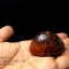 หินอาเกต AGATE แบบก้อน ลวดลายสีน้ำตาลส้ม AGT013