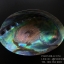 เปลือกหอยเป๋าฮื้อแท้ (Abalone) นิวซีแลนด์ ขัด สีปีกแมลงทับ #HA011