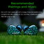 AFUL Performer 5+2 หูฟัง IEMs 7 ไดรเวอร์ 2DD+4BA+1Planar สายชุบเงินถัก8 ประกันศูนย์ไทย