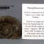 ฟอสซิลหอย Ammonite Dactylioceras commune Whitby Fossil UK #AM027
