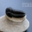 ฟอสซิล Trilobite Gerastos ainrasifus, Morroco #TLB009