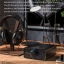 Fiio K5 Pro ESS ของแท้ รับประกันศูนย์ไทย Desktop DAC/Amp ตั้งโต๊ะคุณภาพสูง ชิป AK4493EQ รองรับ 768K/32Bit DSD