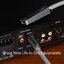 DD TC100-COA สายแปลง Type-C ต่อออก RCA เครื่องเสียง ประกันศูนย์ไทย