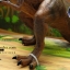 โมเดลไดโนเสาร์ Collection Dinosaur World T-rex ทีเร็กซ์