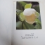 หนังสือพรรณไม้ในสวนหลวง ร.๙ เล่มที่ 1