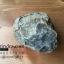 ฟอสซิล แอมโมไนต์ Ammonite Dactylioceras commune Whitby UK #AM037