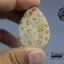 ฟอสซิลหินปะการังขัด Fossil Coral ใหญ่และหนา สำหรับห้อยคอ หรือ พวงกุญแจ คัดสวยพิเศษ #CRF014