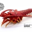 โมเดลกุ้งมังกร Lobster ยักษ์ แบบยางกึ่งอ่อนนุ่มกึ่งแข็ง ตั้งโชว์สวย ขนาดใหญ่ 16 นิ้ว
