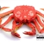 โมเดลปูอะลาสก้า Alaska Crab ตั้งโชว์สวย ขนาดใหญ่ 14 นิ้ว