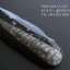 ฟอสซิล Nautiloid ออโทเซอรัส (Orthoceras sp.) - จาก Morocco #OT006
