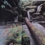 หนังสือพรรณไม้ในสวนหลวง ร.๙ เล่มที่ 1