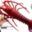 โมเดลกุ้งมังกร Lobster ยักษ์ แบบยางกึ่งอ่อนนุ่มกึ่งแข็ง ตั้งโชว์สวย ขนาดใหญ่ 16 นิ้ว