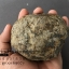ฟอสซิล แอมโมไนต์ Ammonite Dactylioceras commune Whitby UK #AM037