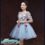 พร้อมเช่า ชุดแฟนซีสั้น สีฟ้า แขนยาว แต่งดอก Fairy สไตล์เจ้าหญิง กระโปรงพองสวยชายย้วย เชือกผูกหลัง
