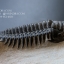 ฟอสซิล Trilobite Crotalocephalus gibbus, Morocco #TLB008