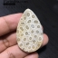 ฟอสซิลหินปะการังขัด Fossil Coral ใหญ่และหนา สำหรับห้อยคอ หรือ พวงกุญแจ คัดสวยพิเศษ #CRF033