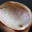 เปลือกหอยเป๋าฮื้อแท้ (Abalone) ขัด สีฃมพูเหลือบรุ้ง ขนาดใหญ่ 6 นิ้ว สำหรับตกแต่งและงานฝีมือ