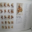 หนังสือภาพสี รูปยาซิกาแรตไทย Thai Cigarette cards สีทั้งเล่ม