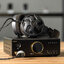 FiiO FT3 หูฟังเฮดโฟนความละเอียดสูง ไดรเวอร์ไดนามิกขนาดใหญ่ ประกันศูนย์ไทย