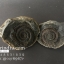 ฟอสซิล แอมโมไนต์ Ammonite Dactylioceras commune Whitby UK #AM037