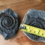 ฟอสซิล แอมโมไนต์ Ammonite Dactylioceras commune Whitby UK #AM037